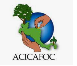 Logo del cliente